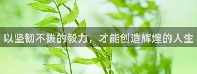 v66体育是什么：以坚韧不拔的毅力，才能创造辉煌的人生