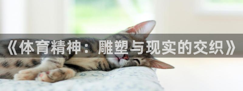 v66体育彩票平台存在多久了：《体育精神：雕塑与现实的交织》