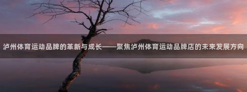 v66体育官网入口：泸州体育运动品牌的革新与成长——聚焦泸州体育运动品牌店的未来发展方向