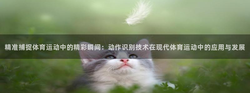v66体育：精准捕捉体育运动中的精彩瞬间：动作识别技术在现代体育运动中的应用与发展