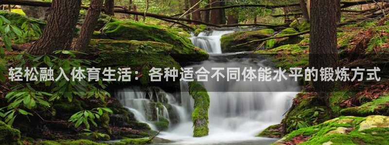 v66体育官网入口：轻松融入体育生活：各种适合不同体能水平的锻炼方式